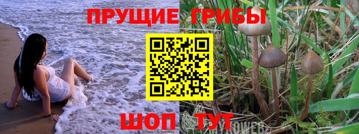 Майкоп  Галлюциногенные грибы GOLDEN TEACHER  наркотики  Вход с VPN 