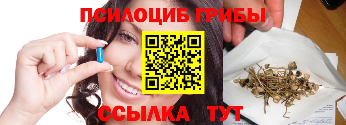 Галлюциногенные грибы Cubensis Майкоп