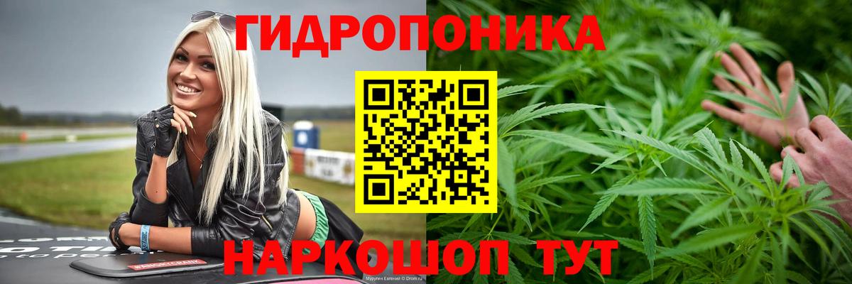 Каннабис Ganja  Вход с VPN  Майкоп  Бошки Шишки Bruce Banner  Бошки марихуана гибрид  Шишки марихуана планчик 